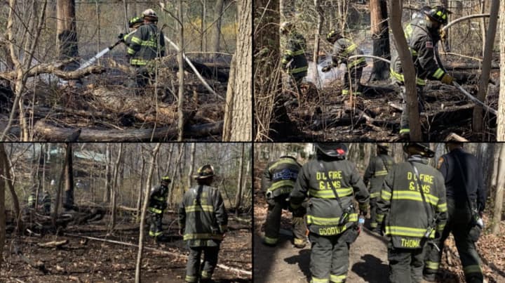 Photos from the scene of the brush fire.