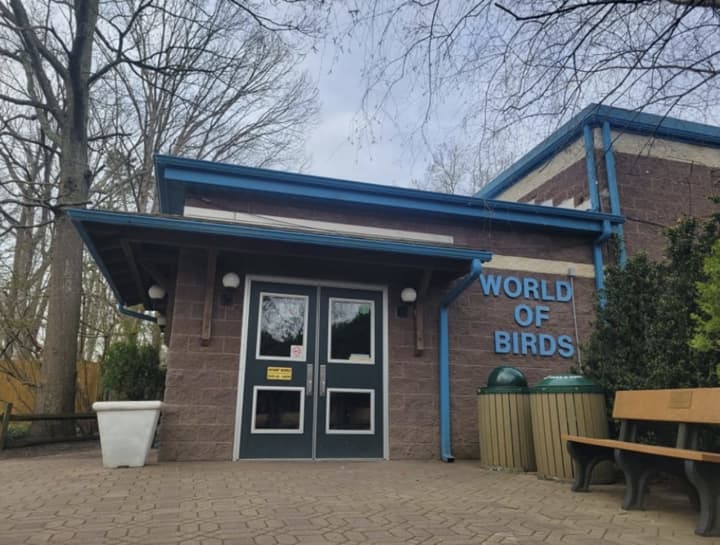 World of Birds aviary