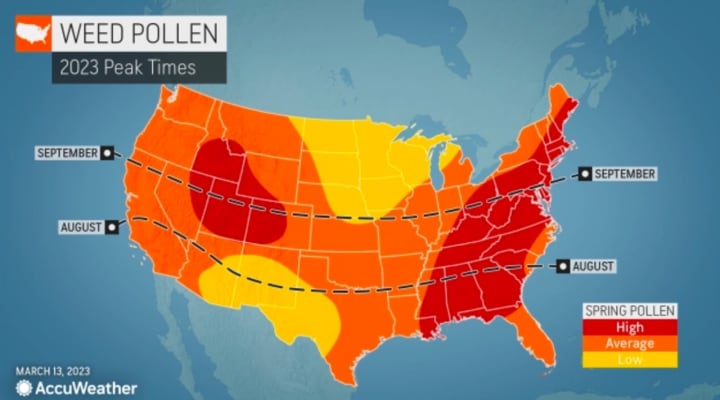 Peak weed pollen months across America.