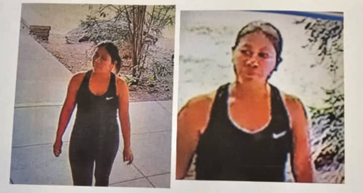 Police released images of the woman who approached the school during the incident.