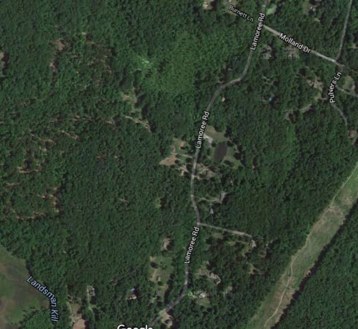 A 55-year-old hunter who injured his leg was rescued Saturday from a wooded area off of Lamoree Road in Milan.