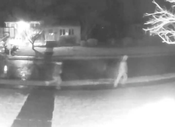 Dumont home surveillance video shows car burglars running from scene.