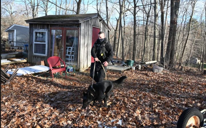 Police with K-9 cop assistance search for evidence in Charlton, Nov. 20