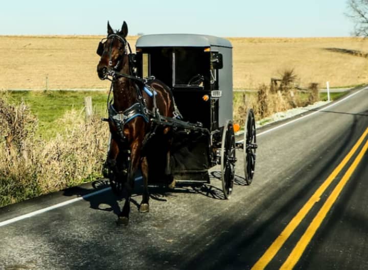 An Amish horse-and-buggy.