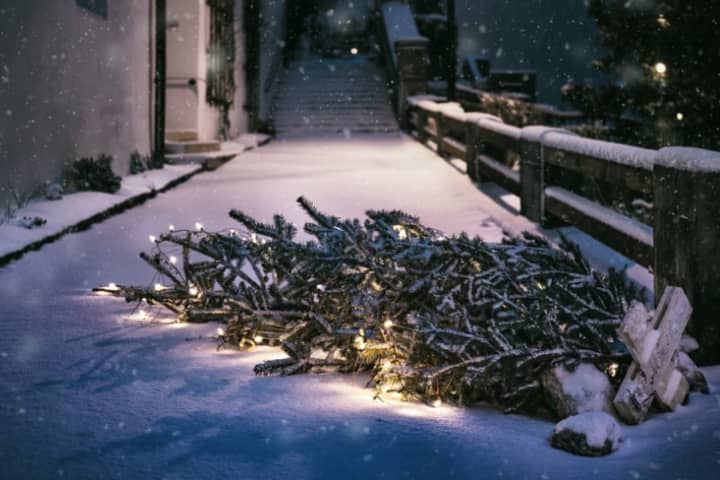 A stock image of a Christmas tree knocked down and laying out its side.