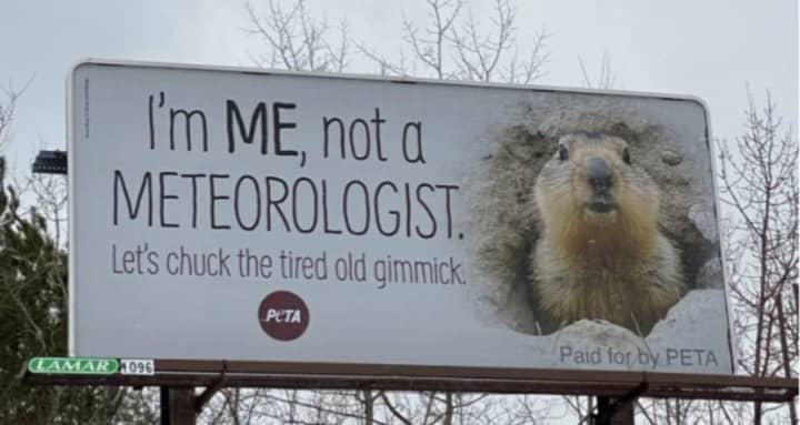 PETA&#x27;s billboard urging the retirement of Pennsylvania&#x27;s most famous groundhog.