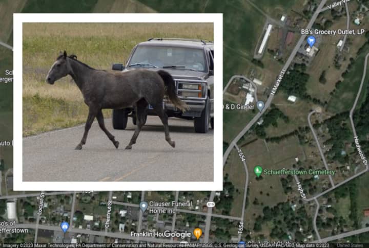A stock image of a horse running into a road in front of a car and a map showing the area where this incident happened in Lebanon County.
