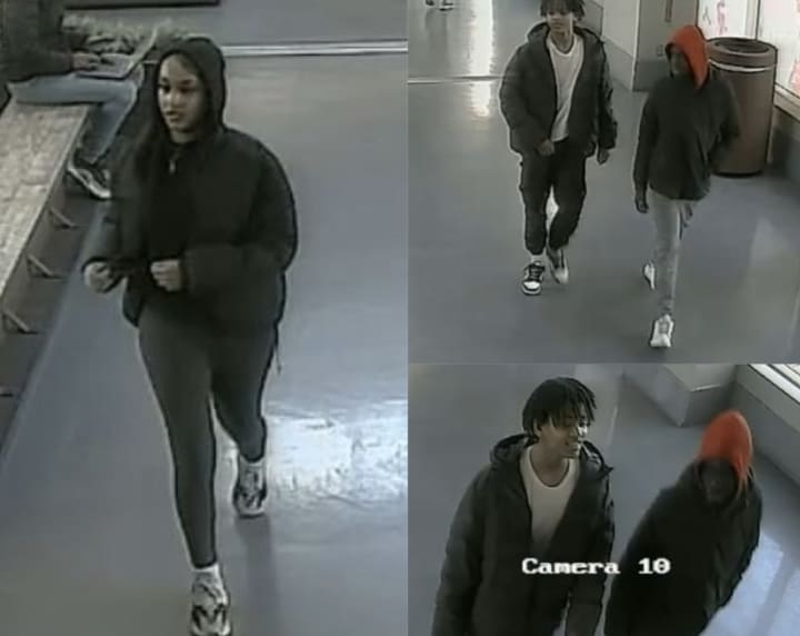 The suspects wanted for stealing from the Maryland mall.