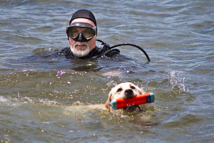 Search and rescue dogs and their handlers participated in a water training.