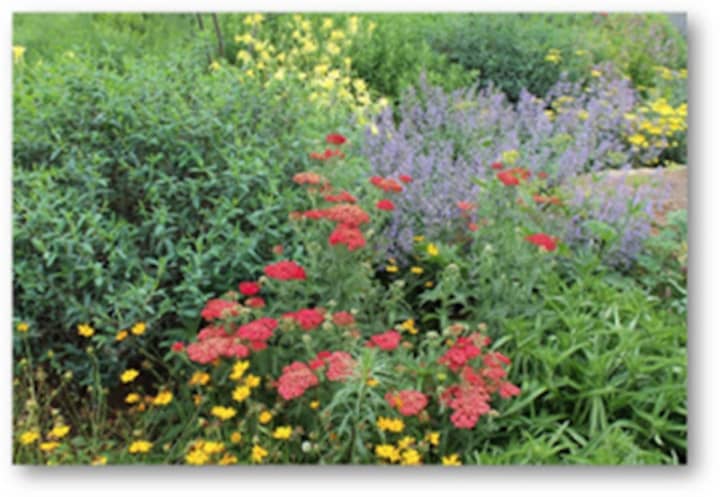 Learn how to tend and plan your gardens like a pro during a special event at the Mahopac Library.