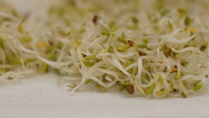 CDC officials are warning people to avoid eating alfalfa sprouts after certain brands were linked to foodborne illnesses.
