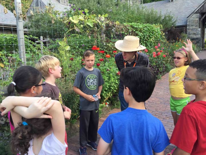 Main Street School fourth-graders visited the Stone Barns Center in Pocantico Hills to investigate food production and examine the relationship between farm life and how the harvested food becomes the food we consume.