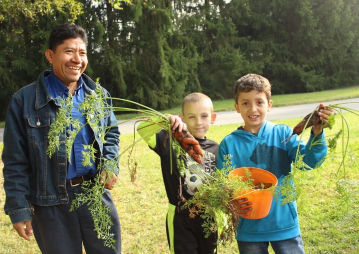 Pocantico Hills students show off organic carrots, part of the harvest for their school&#x27;s annual fall festival with Jose Zamora, a school employee who maintains its garden.