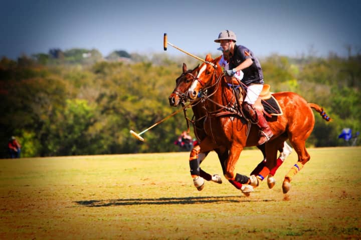 The annual Victory Cup polo event will take place at Kirby Hill Farm in Pawling on Saturday, July 16.