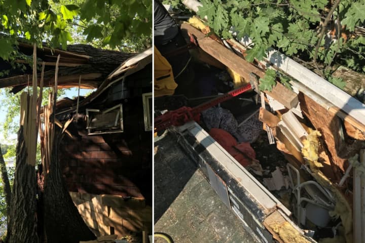 Emergency crews work to free 75-year-old Penelope Perry after a fallen tree trapped her inside her home on North River Road during a storm Tuesday, July 12.