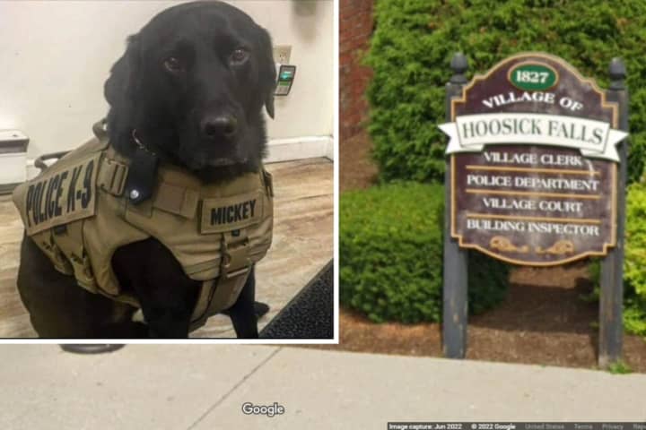 Retired Hoosick Falls Police K9, Mickey, will be euthanized after battling stomach cancer.
