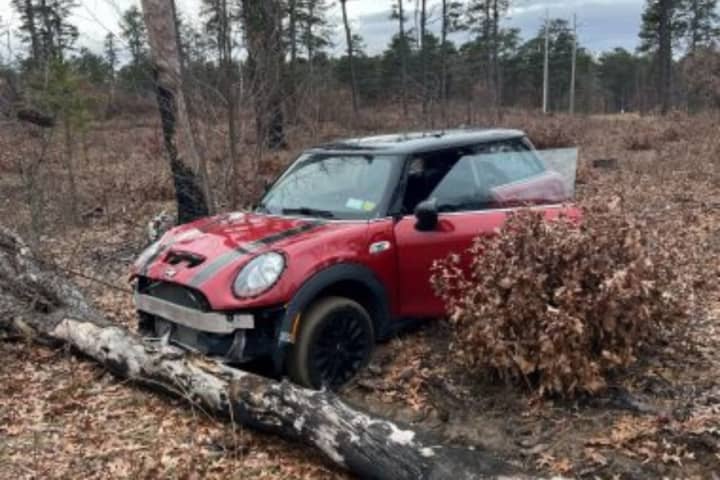 A 42-year-old Troy man was ticketed after driving through a fence and getting stuck at the Albany Pine Bush Preserve on Tuesday, Feb. 21.
