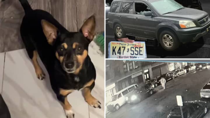 Police released images of the stolen 2004 Honda Pilot and its plates (top right), the dog inside the vehicle (left), and the suspect (bottom right).&nbsp;
