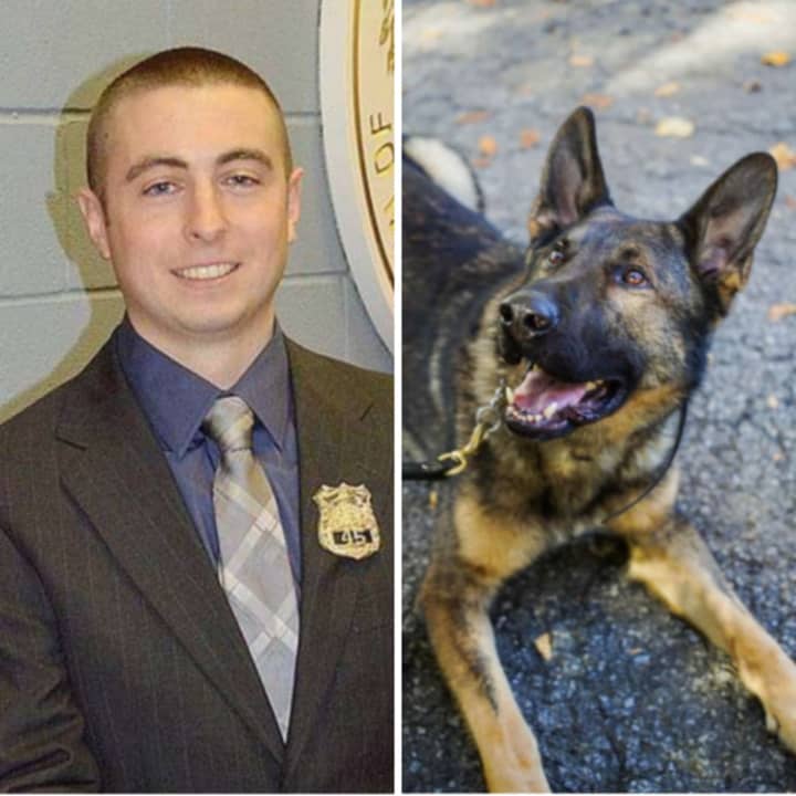 Carmel&#x27;s new K-9 officer, Pietro, right, and his namesake, deceased Carmel Police Officer Gary
Pietropaolo, left, who died in 2018.
