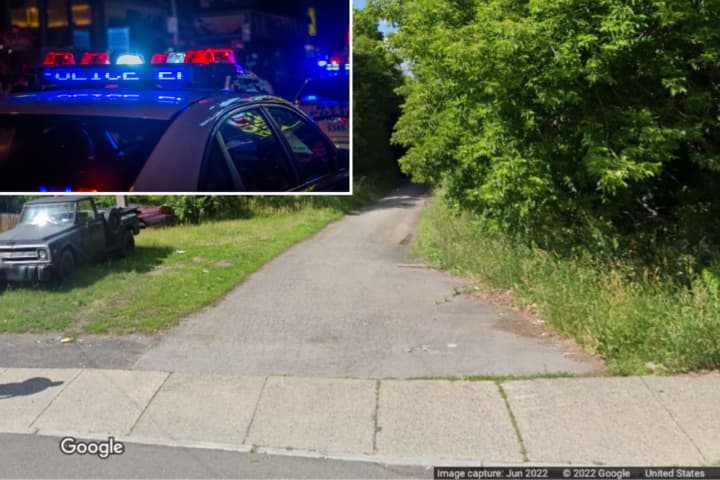 Troy Police are investigating after a passerby found three dead dogs near the Uncle Sam Bike Path and Ingalls Avenue Wednesday, July 27.