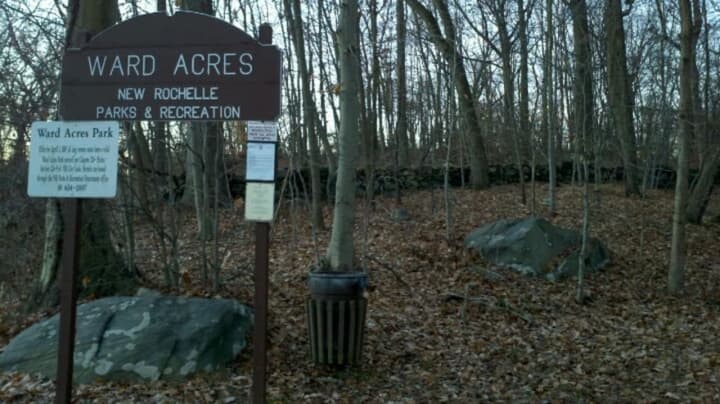 Ward Acres Dog Run  is a popular spot for New Rochelle residents.