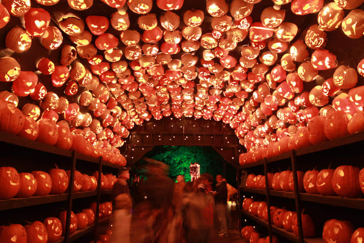 The Tunnel O&#x27; Pumpkin Love at the Great Jack O&#x27;Lantern Blaze