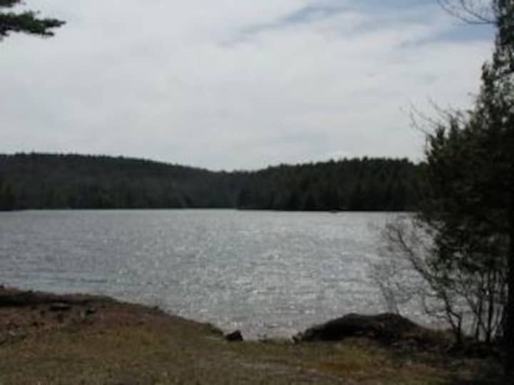 Burr Pond, the area where the woman was found.