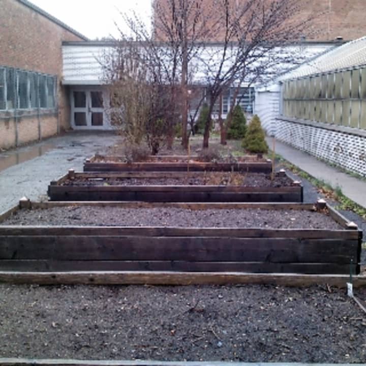 Mount Vernon High School&#x27;s new garden