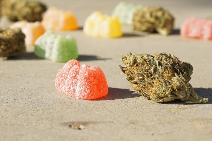 Marijuana gummy bears and marijuana.