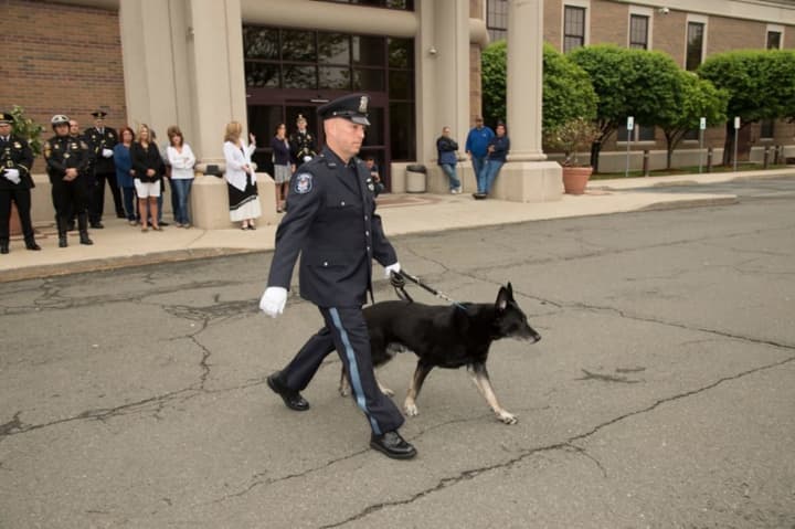 K9 officer King has retired from the Clarkstown Police Department.