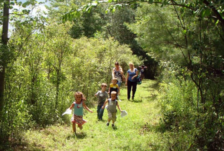 Come enjoy a fall nature walk in the Otter Creek Preserve in Rye Neck. 