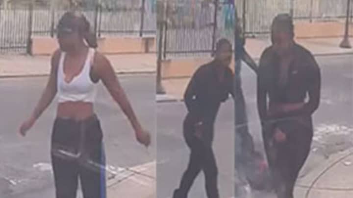 Suspects in the Nov. 20 assault on a crossing guard.