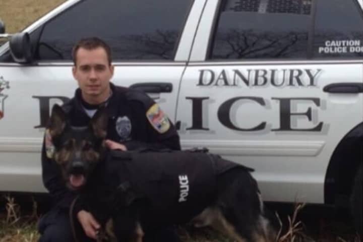 A GoFundMe has been set up for Danbury Police K-9 Koda, who has a brain tumor.