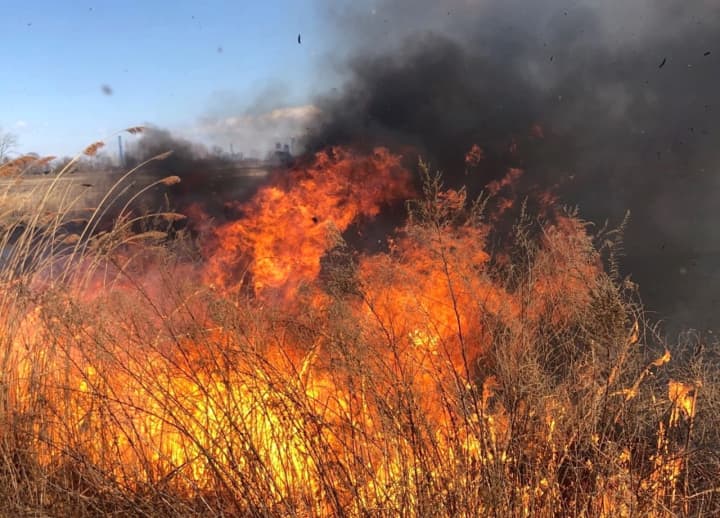 Meadowlands brush fire on Sunday.