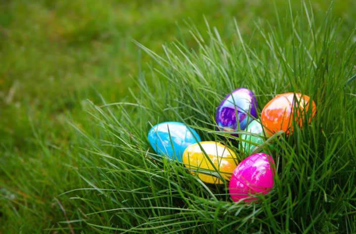 Faith Reformed Church in Lodi is planning an Easter Egg Hunt.