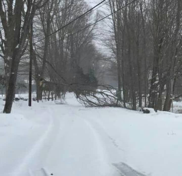 Silver Hill Road in Easton was closed around 1 p.m. due to a fallen tree in the snow storm.