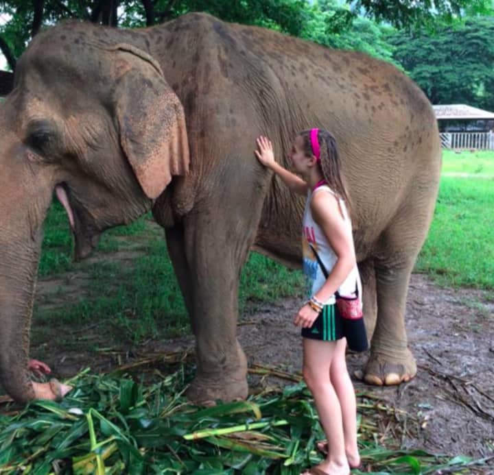 Emily Wolfe of Stamford traveled to Thailand to save elephants. 