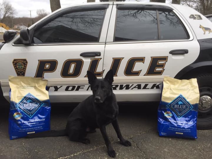 The Norwalk Police Department K9 Unit has a Wilton pet food company to thank for its next meal.