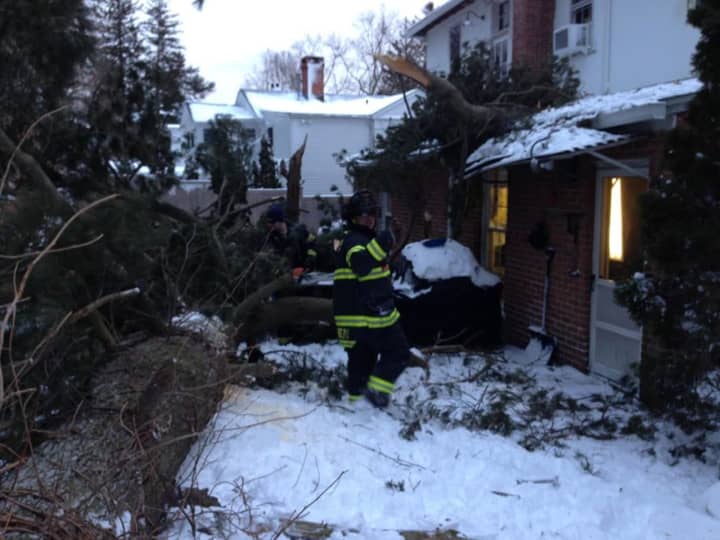 A 75-foot pine tree fell into the rear of the building at Fairfield Fire Station No. 4 on Thursday.