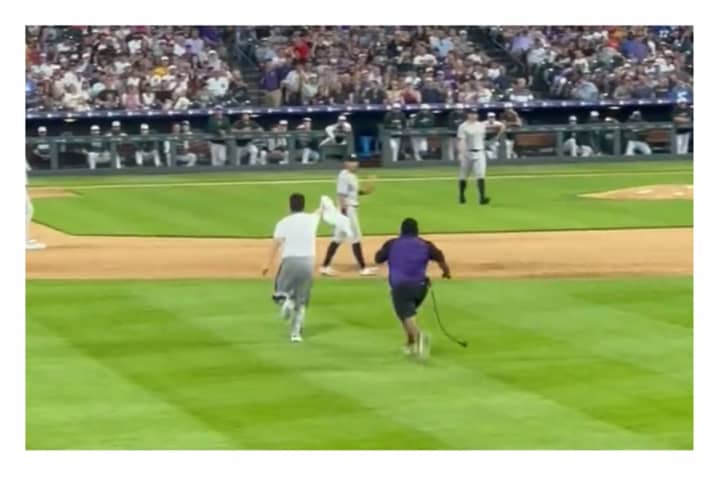 Four security guards coming from three directions converged on the bearded intruder as he came within 10 to 15 feet of Yankee shortstop Anthony Volpe at Coors Field in Colorado.