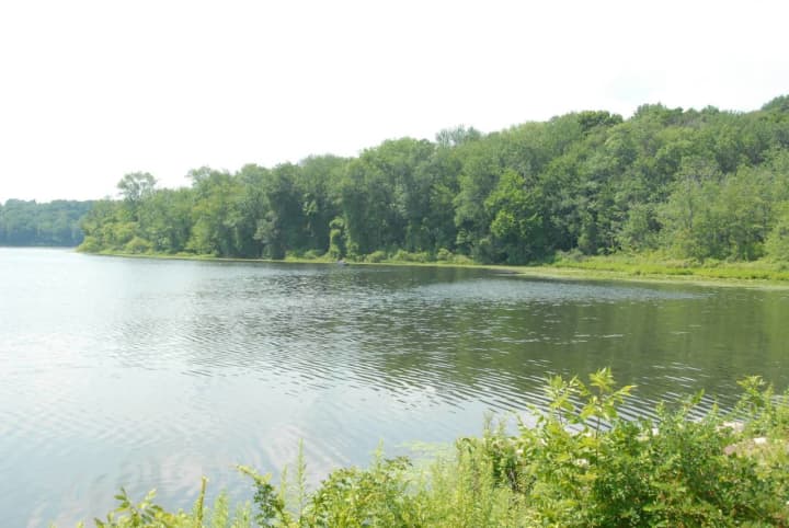 Franklin D. Roosevelt State Park in Yorktown Heights will be the scene of a fundraiser Saturday for No Child Wet Behind and the Westchester County Diaper Bank. 