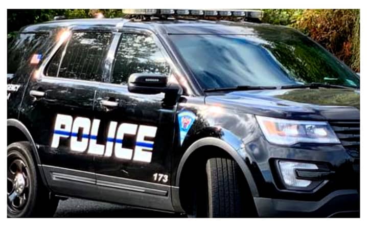 The Palisades Park police officer had just gotten out of his cruiser at 5th Street and East Brinkerhoff Avenue when he was struck by a passing 2024 Honda CRV shortly after 3 p.m. Sunday, Nov. 12.&nbsp; &nbsp; &nbsp;