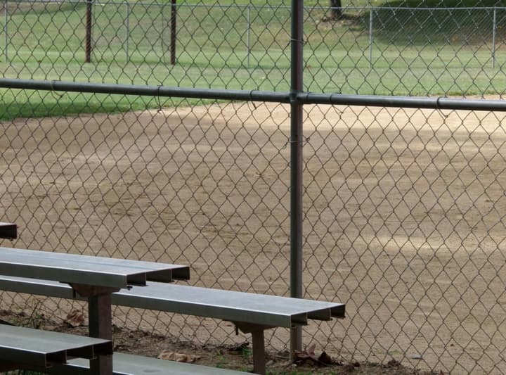 Wayne could get a state grant to help the township build new ball fields.