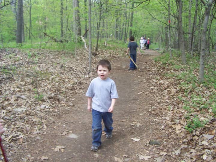 Flat Rock Brook Nature Center in Englewood has received grants to support programs for school children. Pictured, a trail in the center.