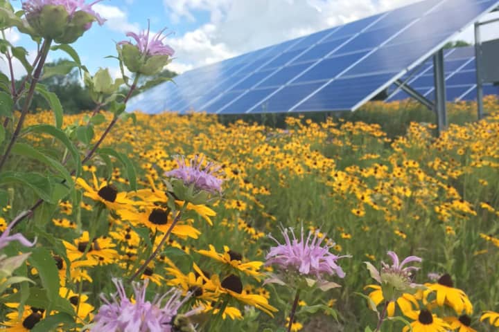 A solar array with a pollinator garden. This and other green initiatives will be highlighted at Bedford 2020&#x27;s Climate Action Summit.