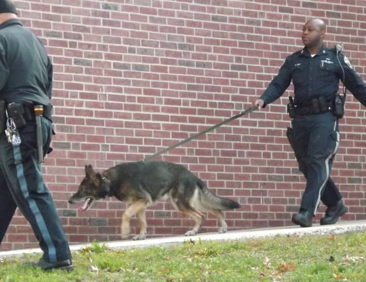 Bergen County sheriff&#x27;s K-9s were deployed along with other officers.