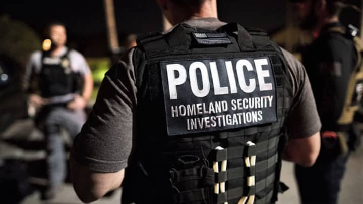 US Department of Homeland Security&#x27;s  Homeland Security Investigations