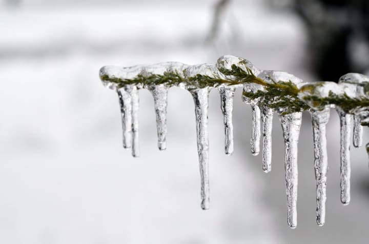 With brutally cold temperatures set to impact Connecticut, the state has activated its severe cold weather protocol for the first time this winter.