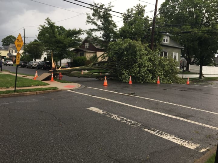 Sunday&#x27;s storm took out a tree that fell onto Hawthorne Avenue.