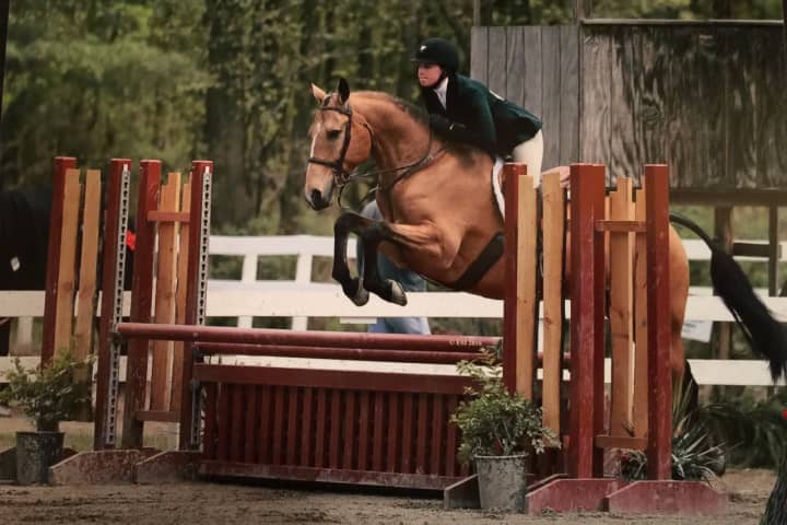 Maeve Cruikshank of Rhinebeck High School has competed in horse shows since she was young.